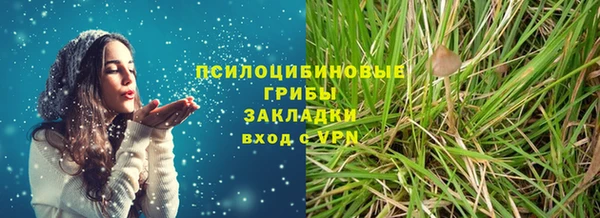дурь Алексеевка