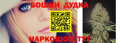 PSILOCYBIN Канаш