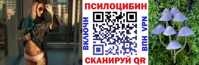 Псилоцибиновые грибы GOLDEN TEACHER  купить наркотики цена  Ленинск-Кузнецкий 