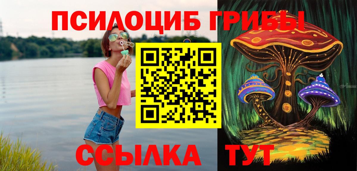 Ленинск-Кузнецкий  Псилоцибиновые грибы Psilocybine cubensis  Псилоцибиновые грибы Cubensis  Вход с VPN 