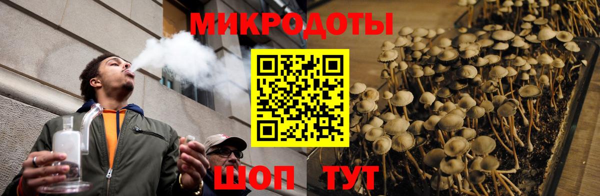 Псилоцибиновые грибы мицелий Ленинск-Кузнецкий